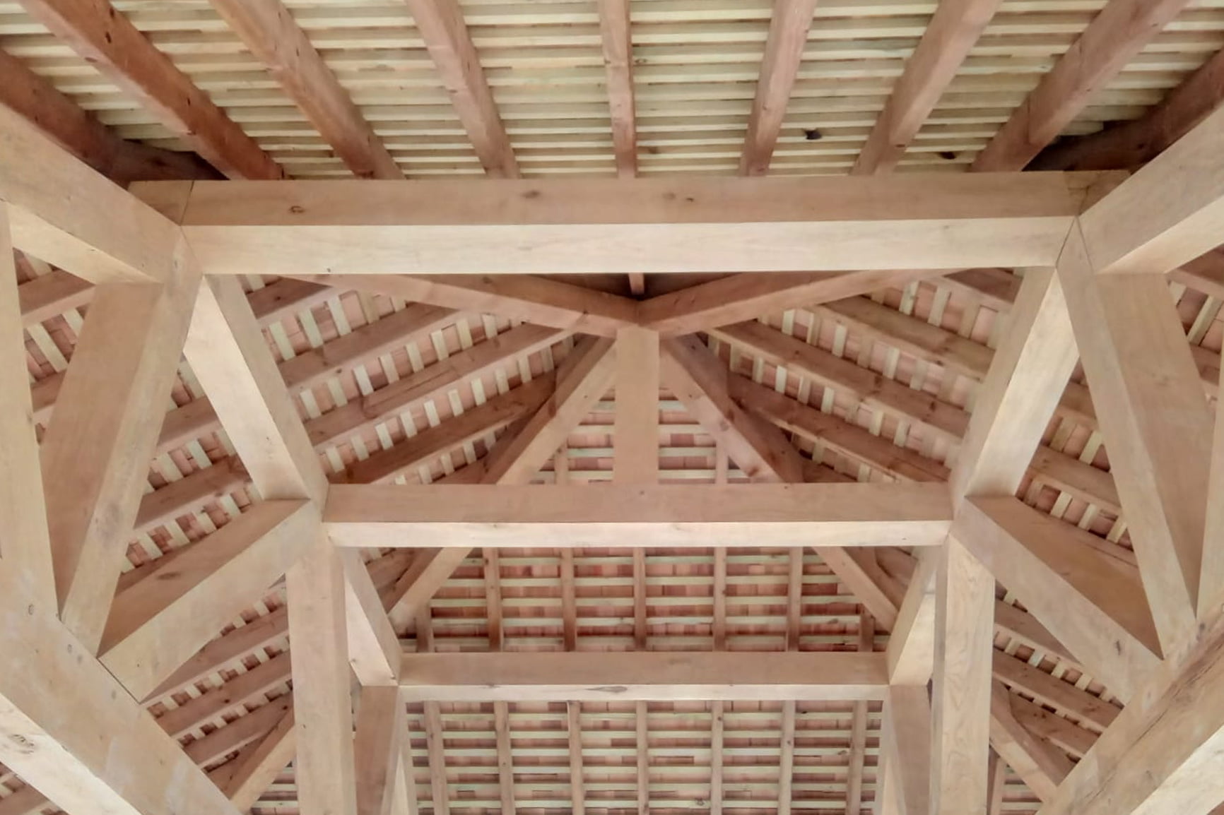 The Future of Timber as a Sustainable Building Material