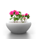 Boulder Concrete Planter