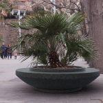 Concrete Dish Planter