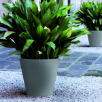 Malva Concentric Concrete Planter