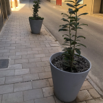 Malva Concentric Concrete Planter Street