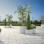 Circular Concrete Planters