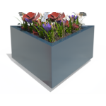 Siap Planter Detail Close