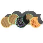 Crescent Siap Range Pastel Group