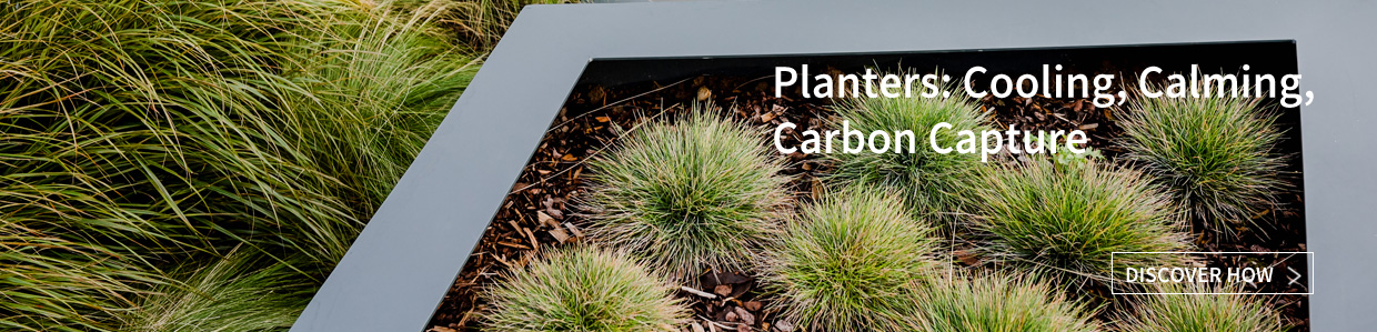 Planters: Cooling, Calming, Carbon Capture