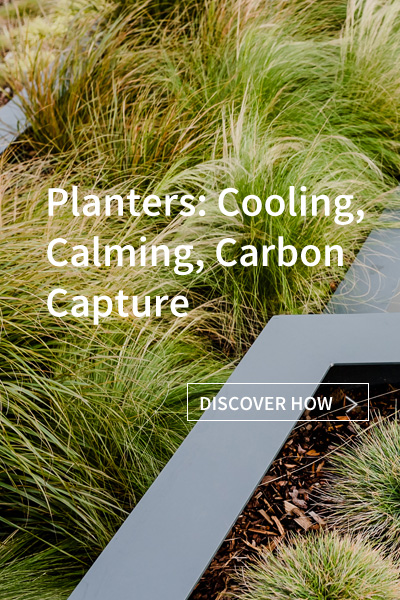 Planters: Cooling, Calming, Carbon Capture