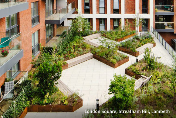 Urban Greening at Streatham Hill, Lambeth
