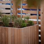 Trinity Gardens Project